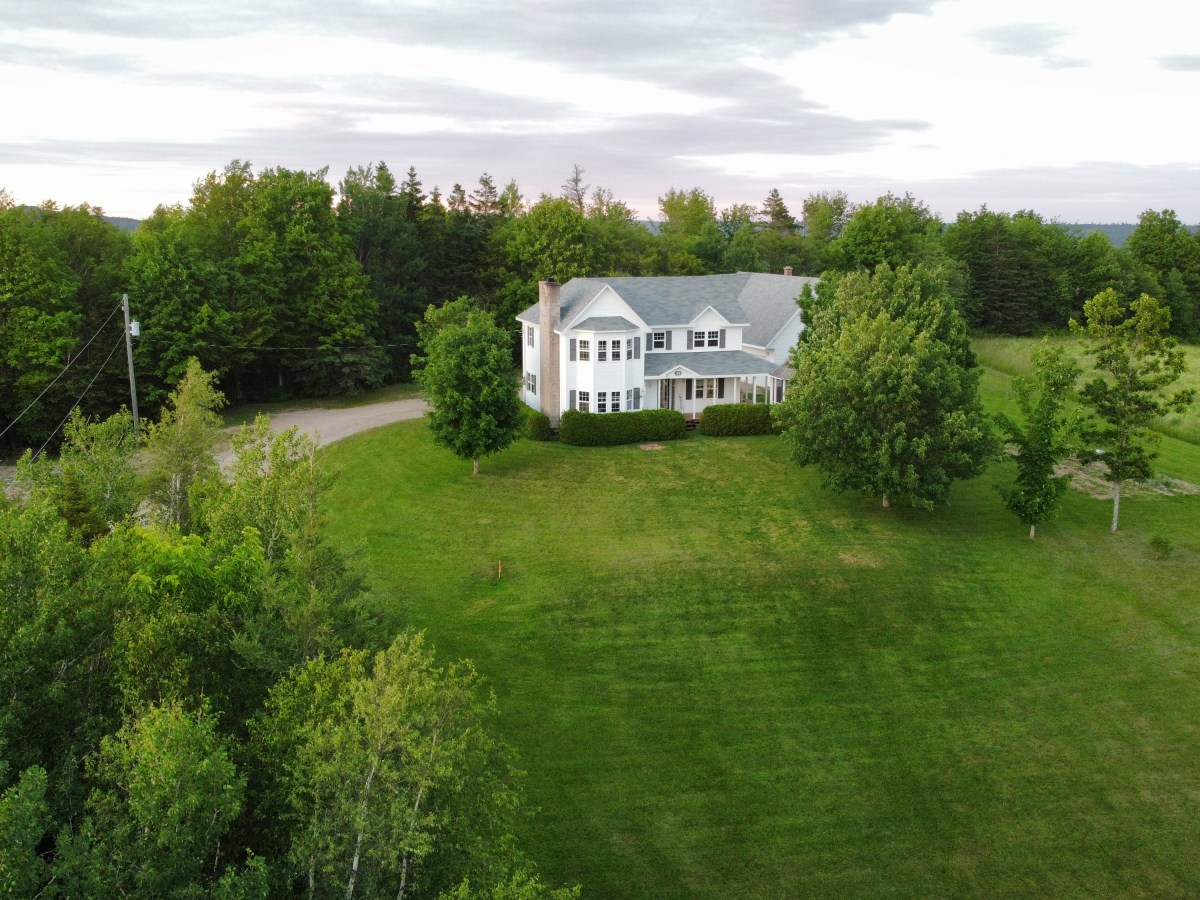 The Red Tree Has A New&nbsp;Home